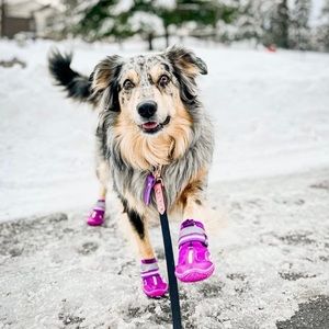 Dog Booties for Medium-Large Dogs! Size 5 - PURPLE